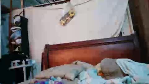 Felipe25cm online show from November 19, 7:03 pm