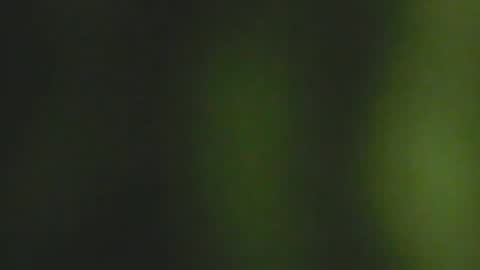 Deluxepussy online show from February 3, 7:40 am