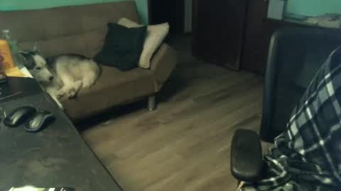 1handyanddee online show from November 30, 1:53 am