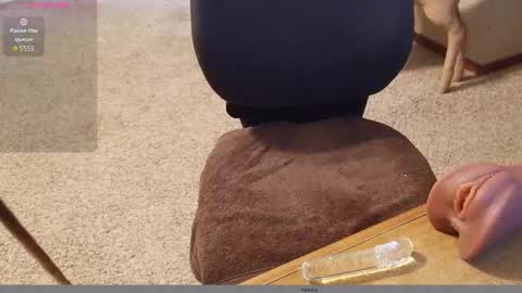 2tiredoftoys online show from November 15, 11:32 pm