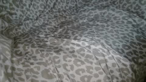 Phil online show from September 23, 1:41 am