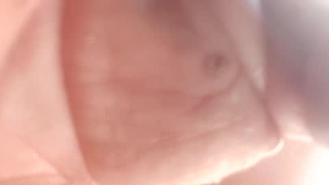 Thisguy online show from February 12, 7:24 pm