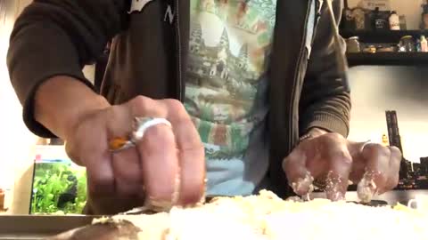 Snapshot of 6990fiko chatting on February 1, 5:47 pm 6990fiko online show from February 1, 5:47 pm