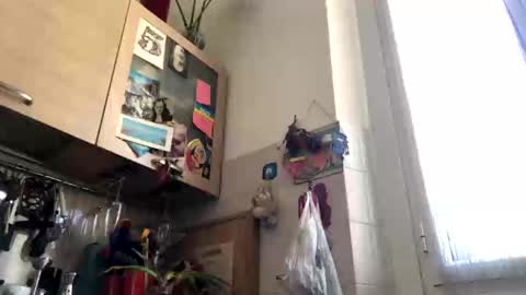 Snapshot of 6990fiko chatting on March 4, 12:55 pm 6990fiko online show from March 4, 12:55 pm