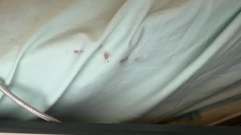 Snapshot of 69j0hndo chatting on September 12, 8:14 am FUCKR online show from September 12, 8:14 am