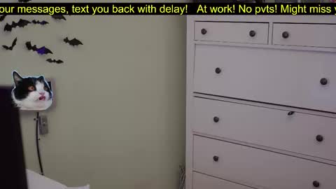 Snapshot of _3x7_ chatting on October 7, 6:16 pm _3x7_ online show from October 7, 6:16 pm