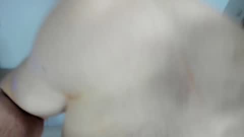 Snapshot of _alex_madrid_ chatting on January 28, 12:54 pm Alex online show from January 28, 12:54 pm