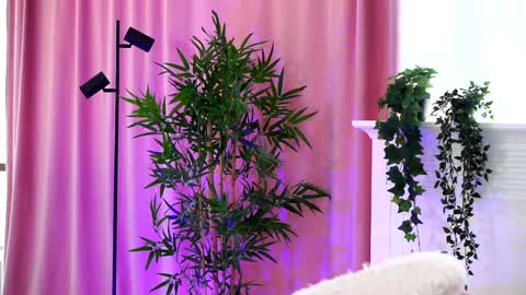 Arielle online show from December 19, 1:07 pm