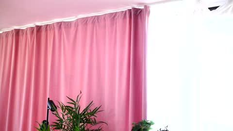 Arielle online show from January 4, 12:05 pm