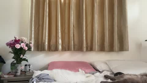 Chelsea xo online show from February 16, 9:16 pm