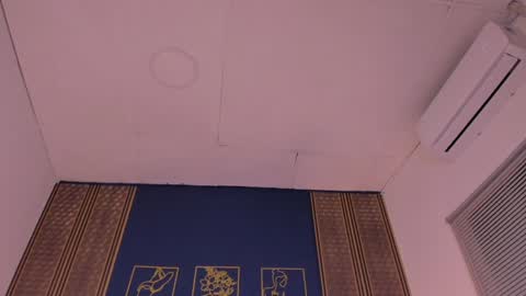 Dakota online show from December 4, 12:52 am