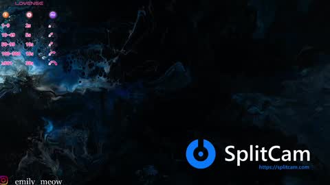 Emily online show from January 21, 1:00 pm