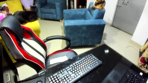 Emma online show from February 7, 12:53 am