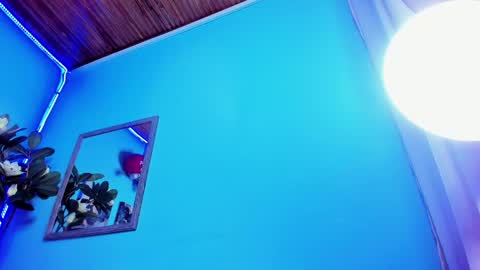 Snapshot of _hairybeard_ chatting on February 19, 11:06 am Mathews online show from February 19, 11:06 am