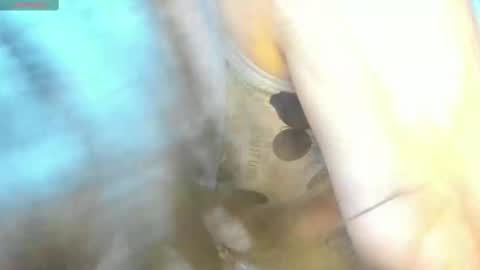 Snapshot of _litle_mily_ chatting on February 15, 9:15 pm Mily online show from February 15, 9:15 pm