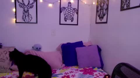 Marce  online show from January 18, 12:57 am