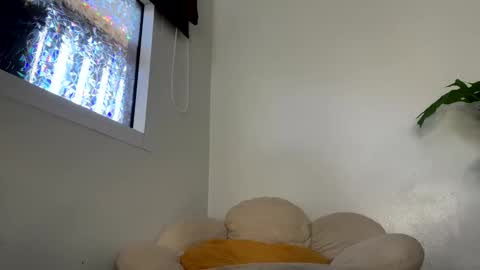 Francine Aisi Morpho - a genus of blue butterflies. online show from January 29, 5:09 am