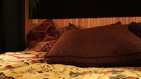 Snapshot of _northern_girl_ chatting on January 21, 3:10 pm Lady Jess from house of Dragonborns online show from January 21, 3:10 pm