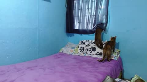 Snapshot of _sammanttha chatting on February 26, 6:21 pm Sammy online show from February 26, 6:21 pm