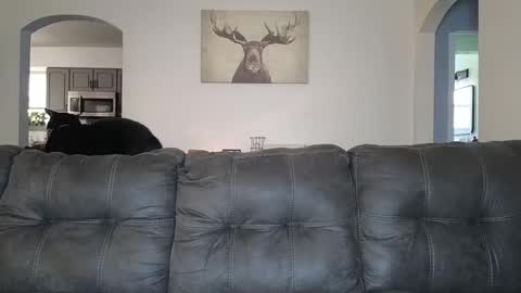 SophiaGraceKnight online show from October 3, 4:37 pm