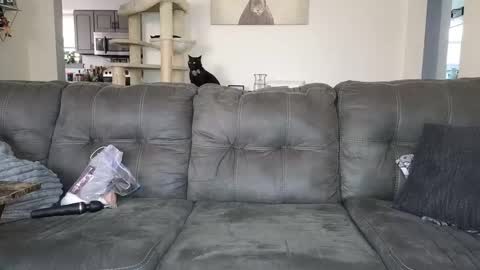 SophiaGraceKnight online show from November 12, 5:13 pm