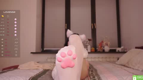 Viola online show from January 24, 7:49 pm