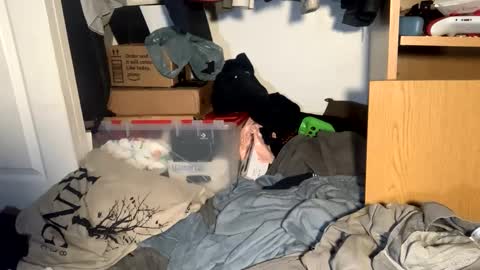 Snapshot of _yourdirtysecret23 chatting on September 18, 5:42 am Matt snap - mattdillon1995 online show from September 18, 5:42 am