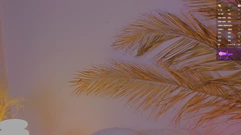 Ally online show from December 15, 4:04 pm