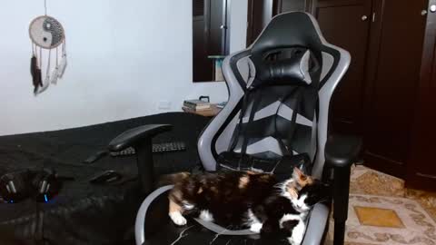 Snapshot of aarman_bannana chatting on January 17, 4:06 am aarman online show from January 17, 4:06 am