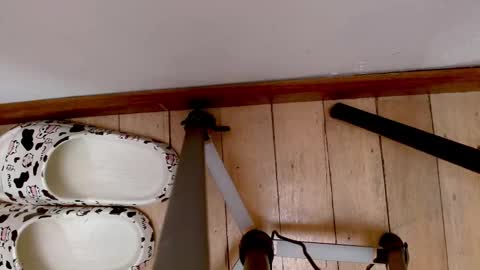 Abby online show from September 21, 3:52 am