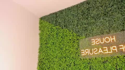 A B B Y online show from March 8, 12:09 pm