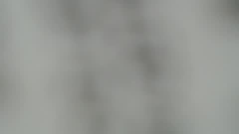 ABBY online show from December 22, 3:44 pm