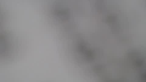 ABBY online show from February 5, 1:00 pm