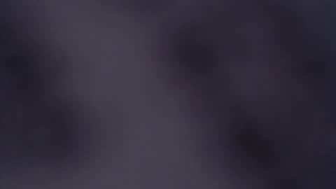 ABBY online show from February 6, 12:37 pm