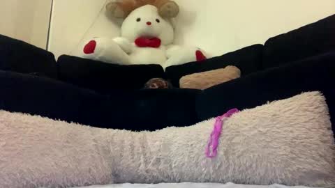 ENIGMA TZX5114 online show from February 20, 12:15 pm