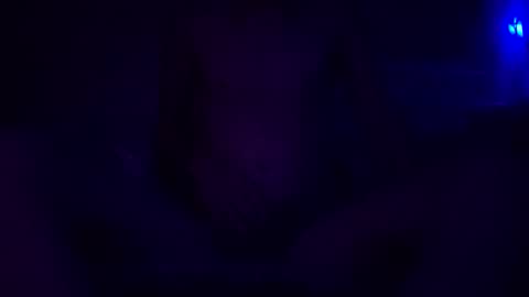 Snapshot of adamllamas chatting on December 30, 5:48 am adamllamas online show from December 30, 5:48 am