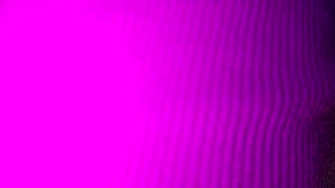 Snapshot of adamllamas chatting on September 15, 4:56 am adamllamas online show from September 15, 4:56 am