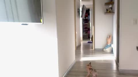 eva online show from September 10, 12:16 pm