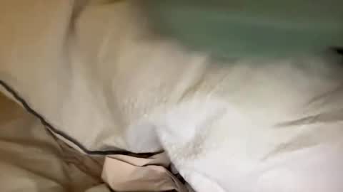 Snapshot of adriiii7878 chatting on January 24, 8:11 pm adriiiii online show from January 24, 8:11 pm