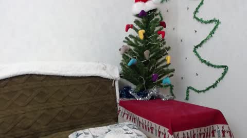 Snapshot of agatha_moore_ chatting on January 2, 11:52 am Agatha online show from January 2, 11:52 am