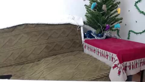 Snapshot of agatha_moore_ chatting on January 4, 3:39 pm Agatha online show from January 4, 3:39 pm