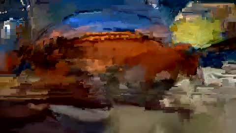 Snapshot of aj297914 chatting on October 1, 3:34 am aj297914 online show from October 1, 3:34 am