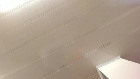 Snapshot of alana_madison chatting on December 28, 11:09 am Maeve online show from December 28, 11:09 am