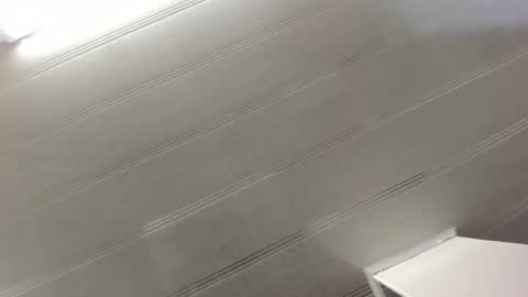 Snapshot of alana_madison chatting on December 29, 10:45 am Maeve online show from December 29, 10:45 am