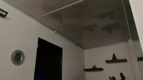 Snapshot of alana_madison chatting on September 25, 10:52 am Maeve online show from September 25, 10:52 am