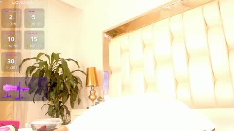       online show from December 7, 2:53 am