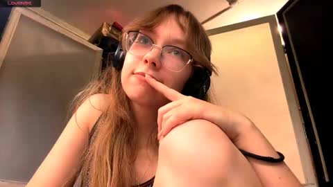 Stella online show from November 19, 3:23 pm