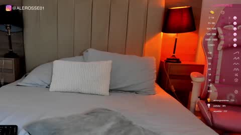 Snapshot of alejarosse chatting on December 22, 3:33 am alejandra independent models online show from December 22, 3:33 am