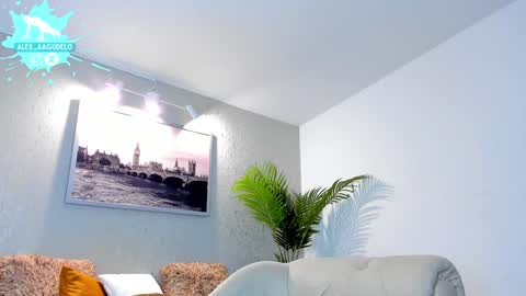 x   online show from December 24, 8:00 am