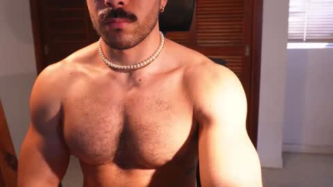 Snapshot of alexdimartino chatting on December 6, 5:22 pm Alex Dimartino online show from December 6, 5:22 pm